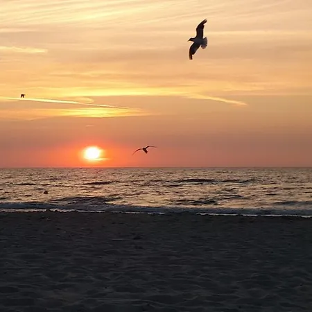 Ambrozja Séjour chez l'habitant *